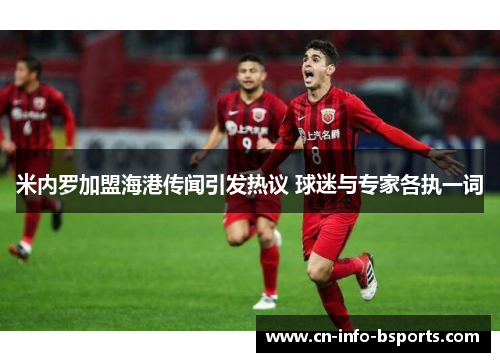 米内罗加盟海港传闻引发热议 球迷与专家各执一词