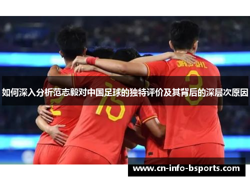 如何深入分析范志毅对中国足球的独特评价及其背后的深层次原因