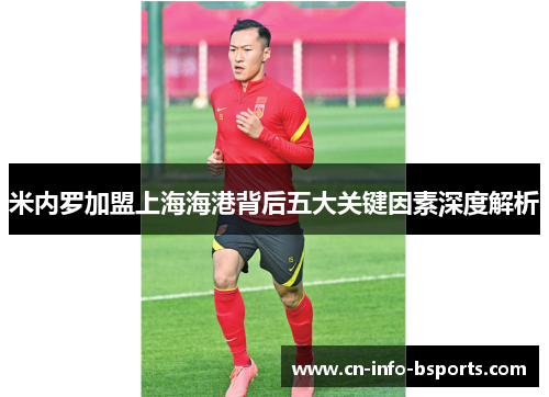 米内罗加盟上海海港背后五大关键因素深度解析