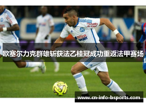 欧塞尔力克群雄斩获法乙桂冠成功重返法甲赛场