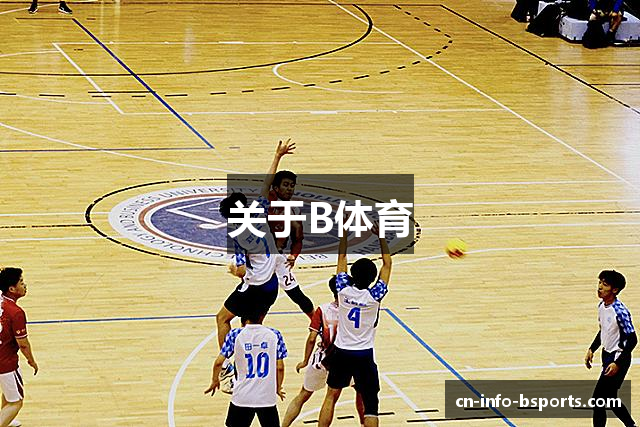 关于B体育